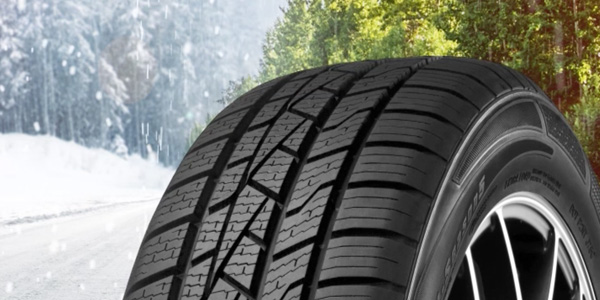 All season niesing banden